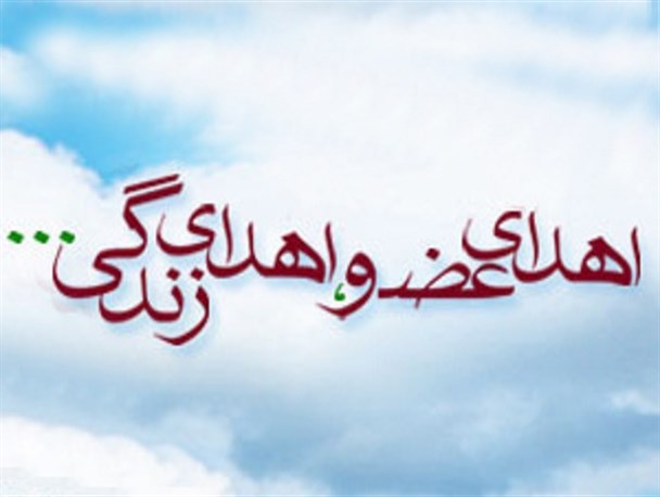 اعضای بدن جوان مرگ مغزی اهدا شد/ حامد یک فرزند ۲۰ روزه داشت