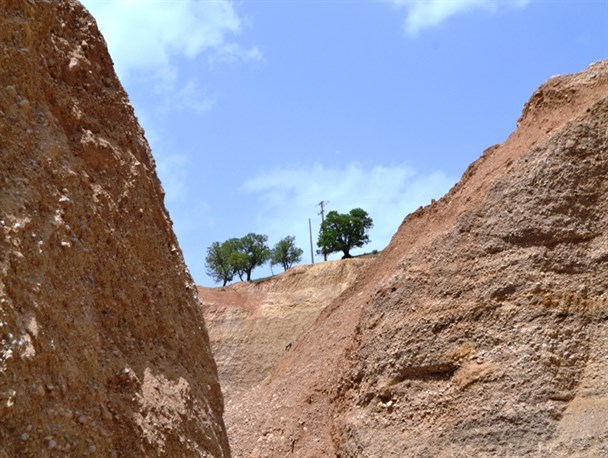 دنا درغم طبیعت زاگرس به سوگ نشست/ خنجر بیل های مکانیکی زمین خوار بر قلب دختان بلوط+تصاویر