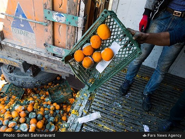 پرتقال‌های تنظیم بازاری در انبارهای جاجرم گندید