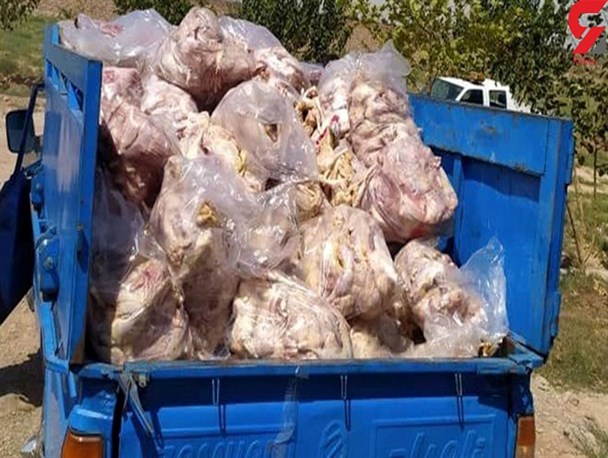 کشف مرغ‌های فاسد در یاسوج