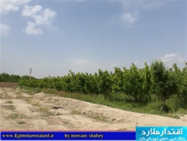 گزارش تصویری; باغات سرسبز و زیبای ملارد در فصل بهار