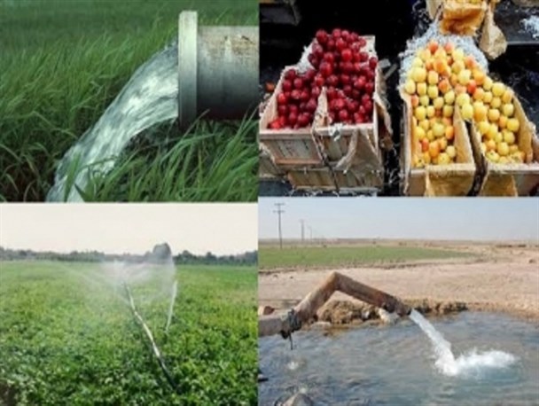 مسئولین را خواب می‌برد و شهر را سیلی از میوه‌های خراب/ تکنولوژی؛ باید الگو بگیرد از گذشتگان در مدیریت بحران آب با دست‌های خالی