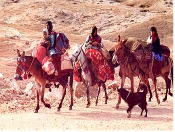 عشایر طلایه داران اقتصادمقاومتی در کشور هستند / تولید بیش از 1700 تن الیاف دامی در استان