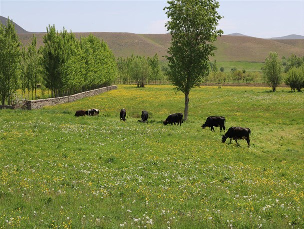 سهزاب, طبیعتی چشم نواز در میان رشته کوه و رودخانه جاری از سبلان