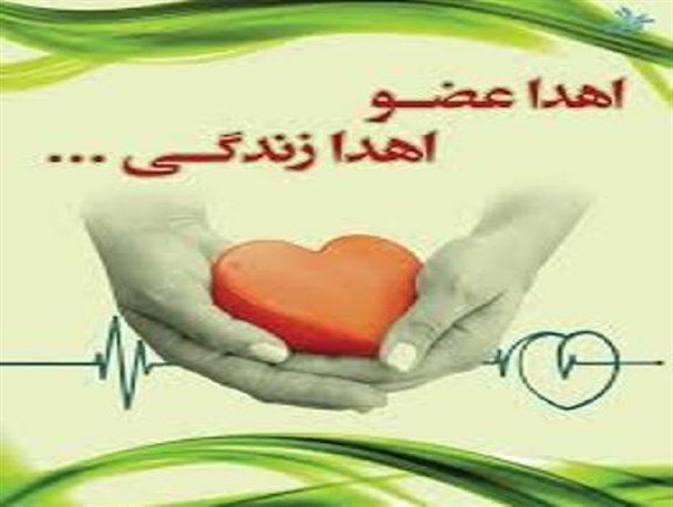تاکنون ۷۲ اهدای عضو در قزوین انجام گرفته است/ راه‌اندازی واحد پیوند کلیه در استان