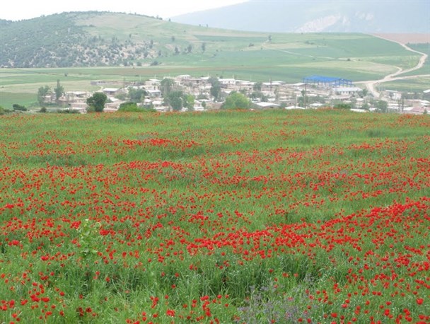 عملیات امداد و نجات دختر بچه گمشده در دشت حسین آباد کالپوش ادامه دارد