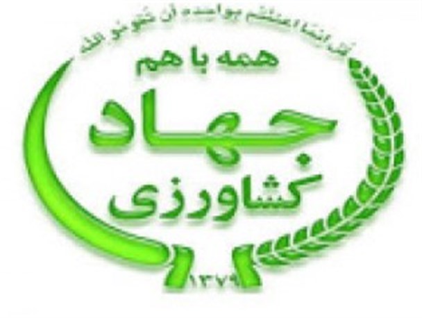هشتاد و یک طرح کشاورزی در شهرستان نیمروز به بهربرداری رسید