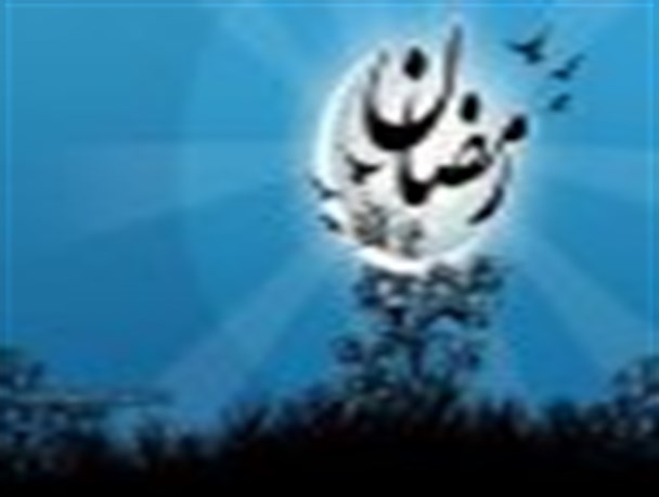 ماهی که دست به خاک بزنی، طلا می شود/ از برگزاری نمایشگاه ضیافت تا اعزام مبلغ توسط دستگاه های اجرایی زنجان