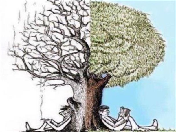 مواد مخدر بنیان اجتماعی جامعه را نابود می کند/ضرورت آموزش مبارزه با مواد مخدر در بین خانواده ها