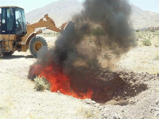 معدوم سازی ۷۰۲  کیلوگرم گوشت گاومیش قاچاق در بستک