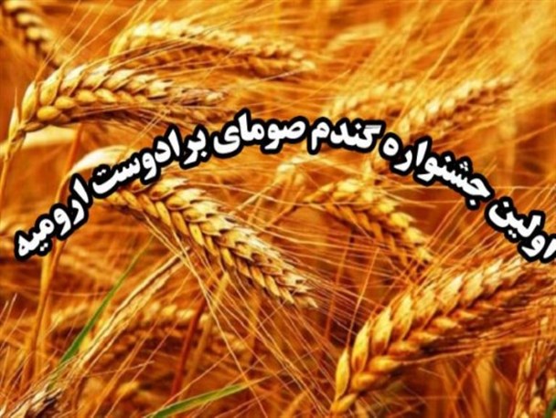اولین جشنواره گندم صومای برادوست ارومیه