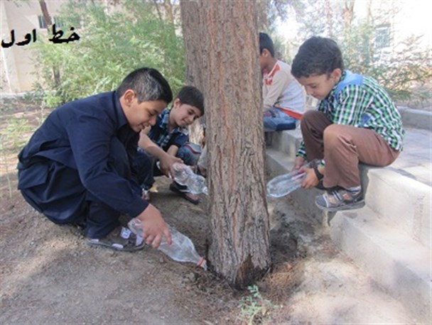 اعضای مرکز فرهنگی‌هنری شماره ۵ زاهدان درختان تشنه مرکز خود را سیراب کردند