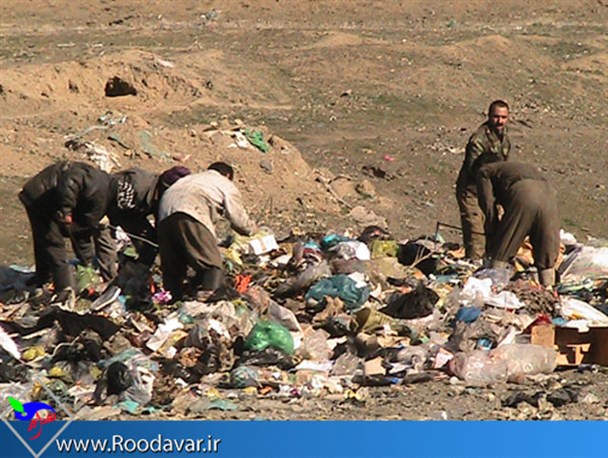 زندگی خیلی ساده یک فالگیر/مجوز دکه ای کوچک را هم از من دریغ می کنند