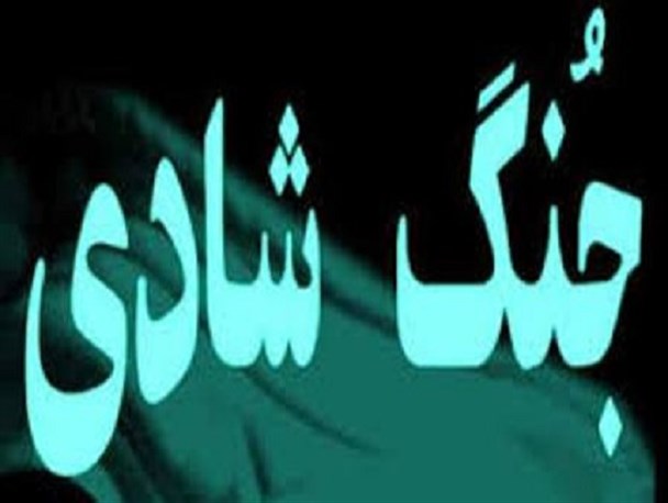 جنگ تابستانه در پارک الغدیر دلیجان برگزار می شود