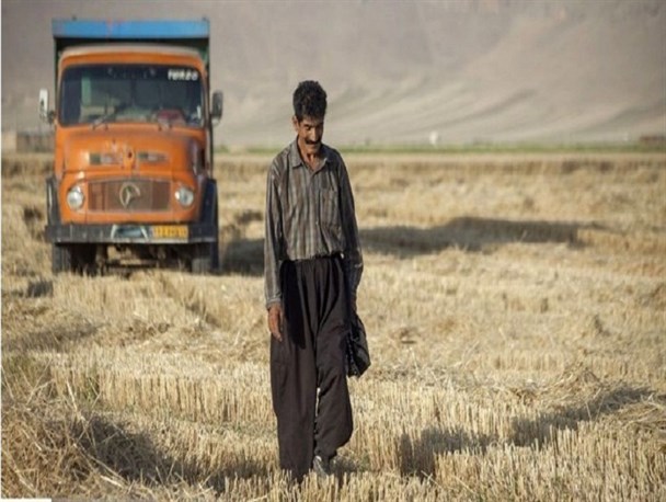 حکایت تلخ خسارت و عدم حمایت/ زورِ بیمه کشاورزی به زیانِ کشاورزان نمی‌رسد