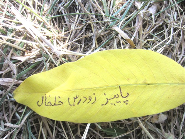 گزارش تصویری/ پاییز زودرس در خلخال