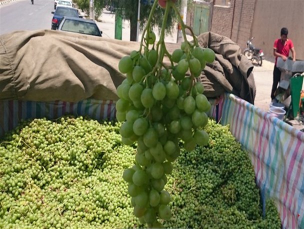 عکس: آبغوره گیری در فراشبند
