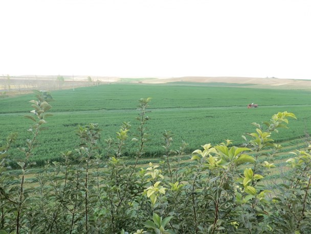 طبیعت بکر و زیبای روستای " کایوشه " از نگاه دوربین