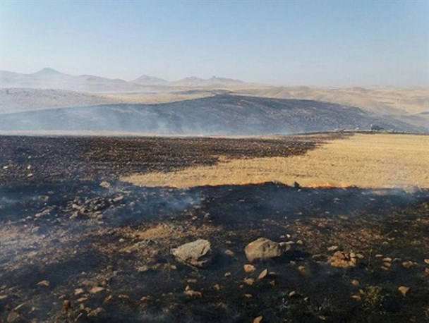رخت سیاه بر تن 40 هکتار از مراتع روستایی بوکان+تصاویر