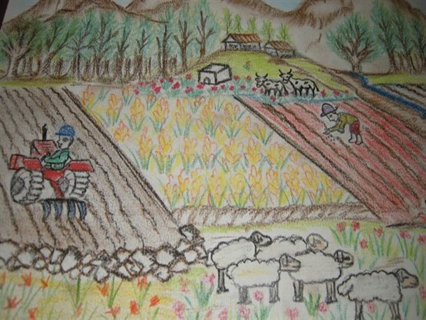 کودکان و نوجوانان روستاهای استان در مسابقه نقاشی هیکاری ژاپن شرکت کردند
