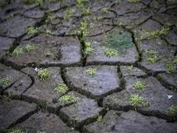سر بی کلاه کشاورزان رباط کریم در کانال محمدیه/حال سفره‌های زیر زمینی رباط کریم خوب نیست
