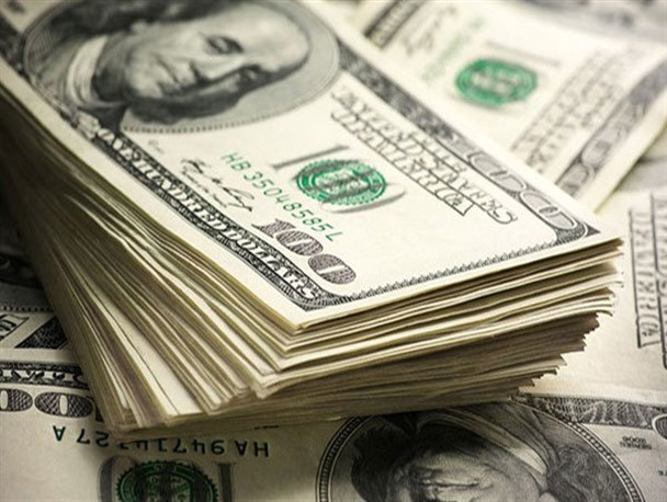 دولت در افزایش نرخ دلار نقش داشته است