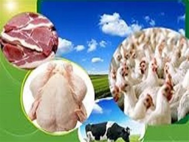 پوشش واکسیناسیون دام  در استان مرکزی۵۱ درصد افزایش یافت