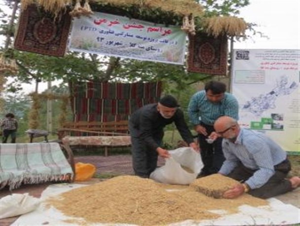 برگزاری جشنواره خرمن در سوادکوه+تصاویر
