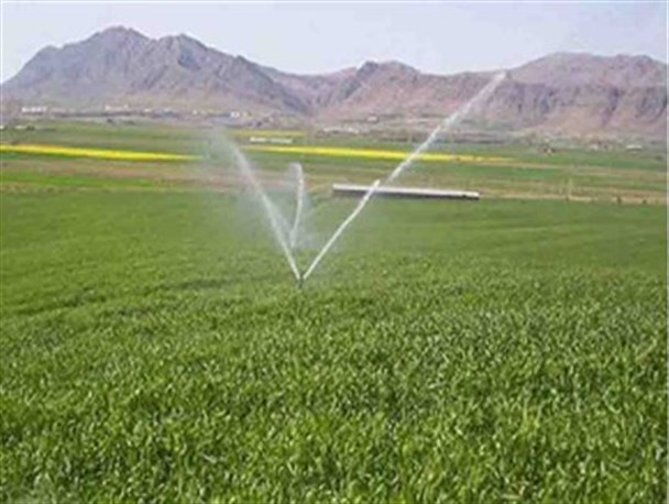انعقاد قرارداد 53 میلیاردی بانک ها با کشاورزان استان/اختصاص زمین برای کشت پسته در صفی آباد