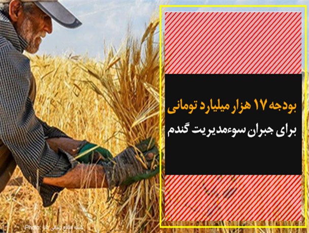 فتونیوز/ بودجه 17 هزار میلیارد تومانی برای جبران سوءمدیریت گندم