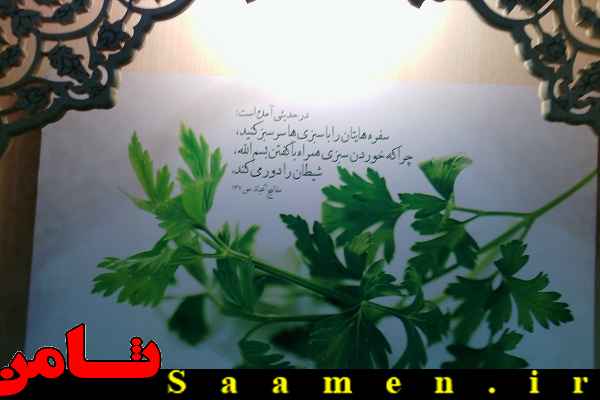 پایگاه اطلاع رسانی ثامن