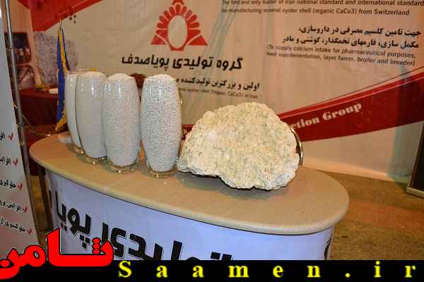 پایگاه اطلاع رسانی ثامن