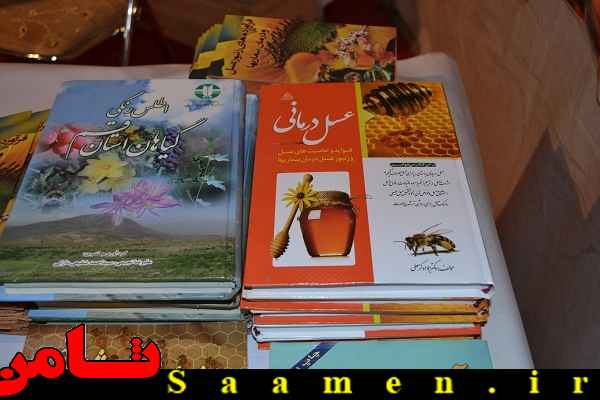 پایگاه اطلاع رسانی ثامن