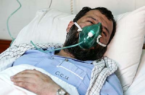 پایگاه اطلاع رسانی ثامن