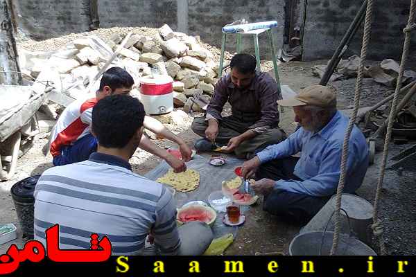 پایگاه اطلاع رسانی ثامن
