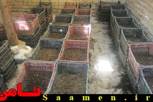 پایگاه اطلاع رسانی ثامن