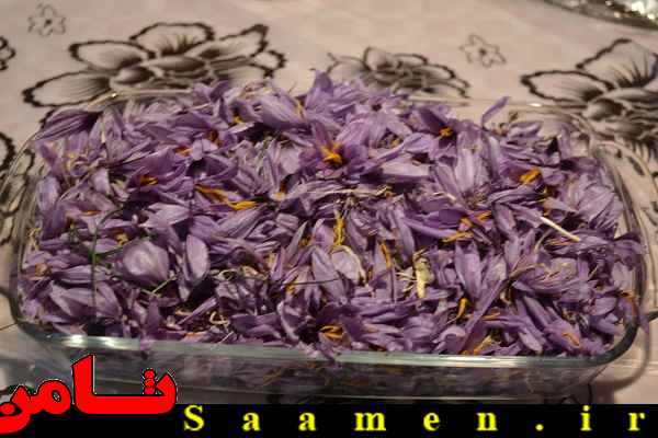 پایگاه اطلاع رسانی ثامن