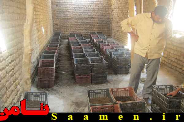 پایگاه اطلاع رسانی ثامن
