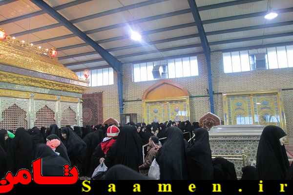 پایگاه اطلاع رسانی ثامن