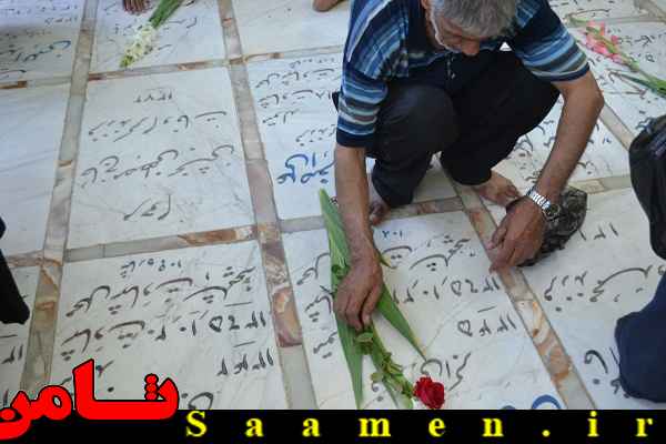 پایگاه اطلاع رسانی ثامن