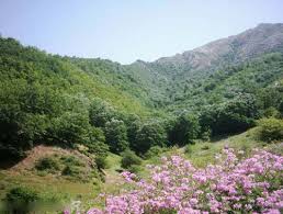 نتیجه تصویری برای درکش