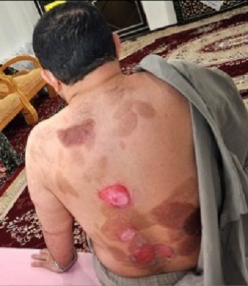 پایگاه اطلاع رسانی ثامن