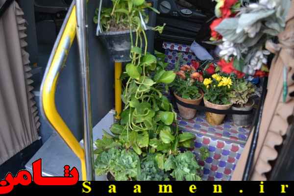پایگاه اطلاع رسانی ثامن