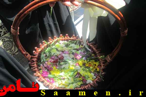 پایگاه اطلاع رسانی ثامن