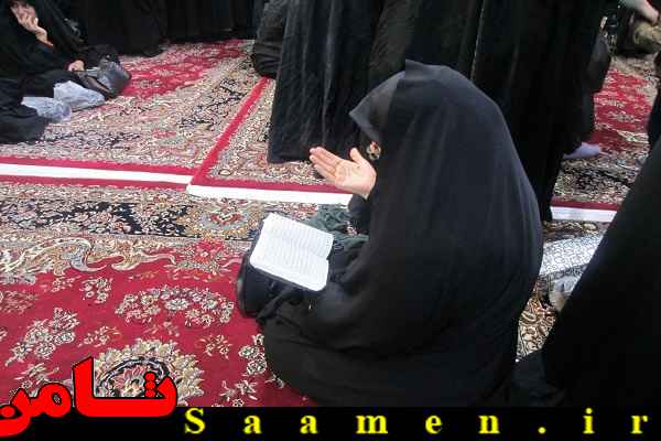 پایگاه اطلاع رسانی ثامن